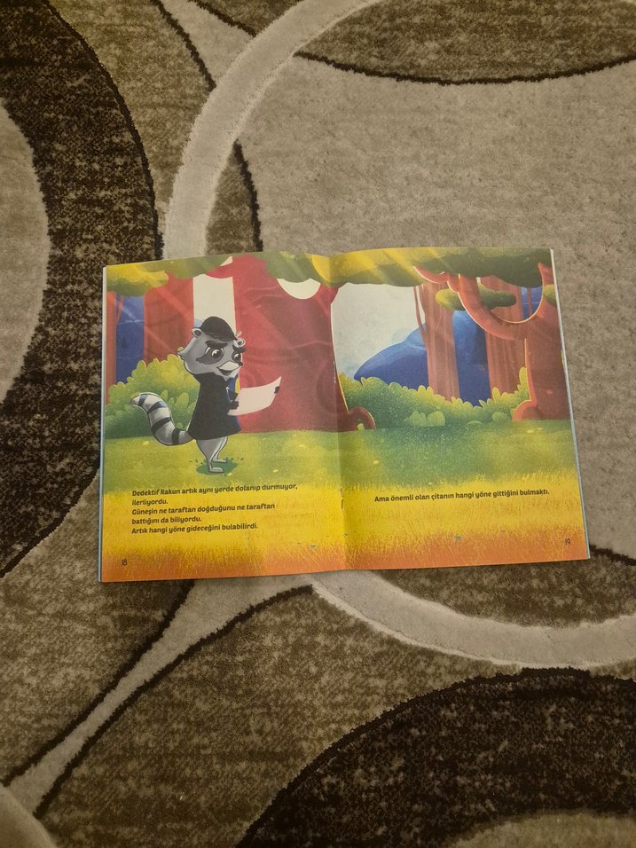 3 adet Dedektif Rakun Çocuk Kitapları Seti - Görsel 5