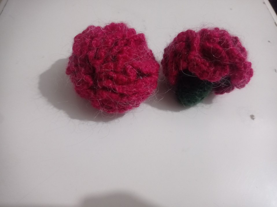 örgü karanfil - Görsel 2