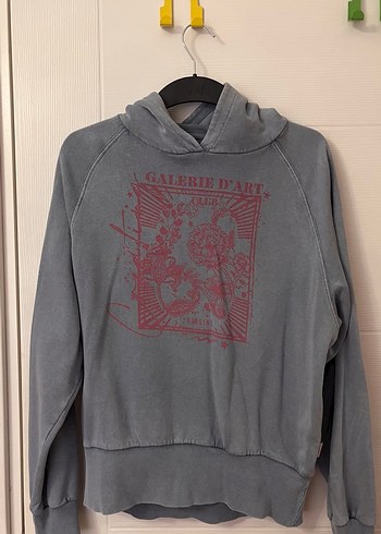 Kadın Gri Kapüşonlu Uzun Kollu Baskılı Sweatshirt