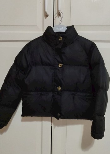 Düğmeli Siyah Kısa Kadın Kışlık Mont - Görsel 3