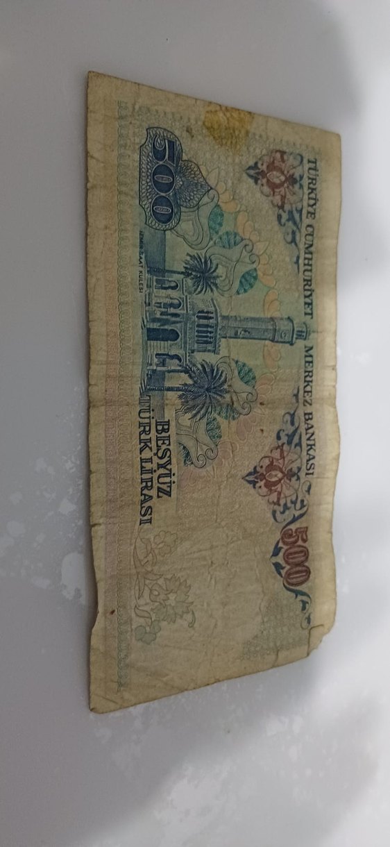 Parlak Kahverengi 100 Lira Eski Banknot teklif üzeri ilan açılır - Görsel 2