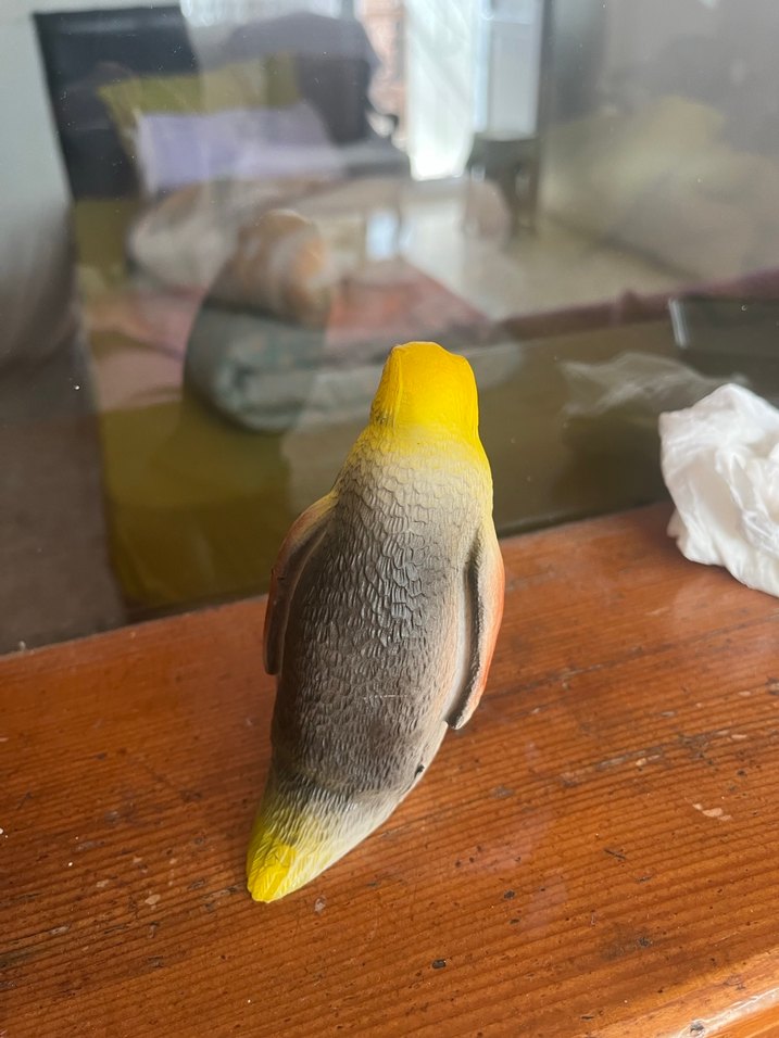 Turkuaz ve Sarı Renkli Kuş Biblosu - Görsel 2