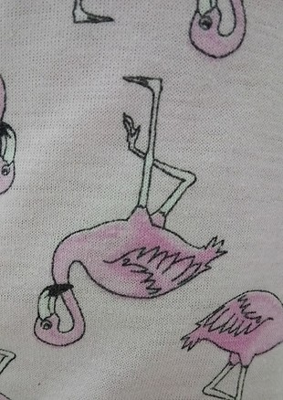 flamingo