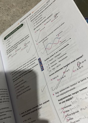Beden Apotemi sistemler kitabı