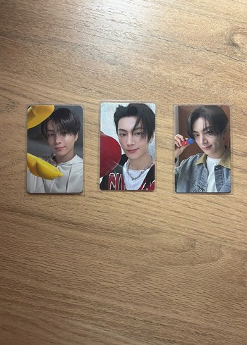 Hello Kitty Enhypen Jay Photocard