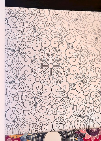 Mandala Boyama Kitapları Seti - Görsel 5