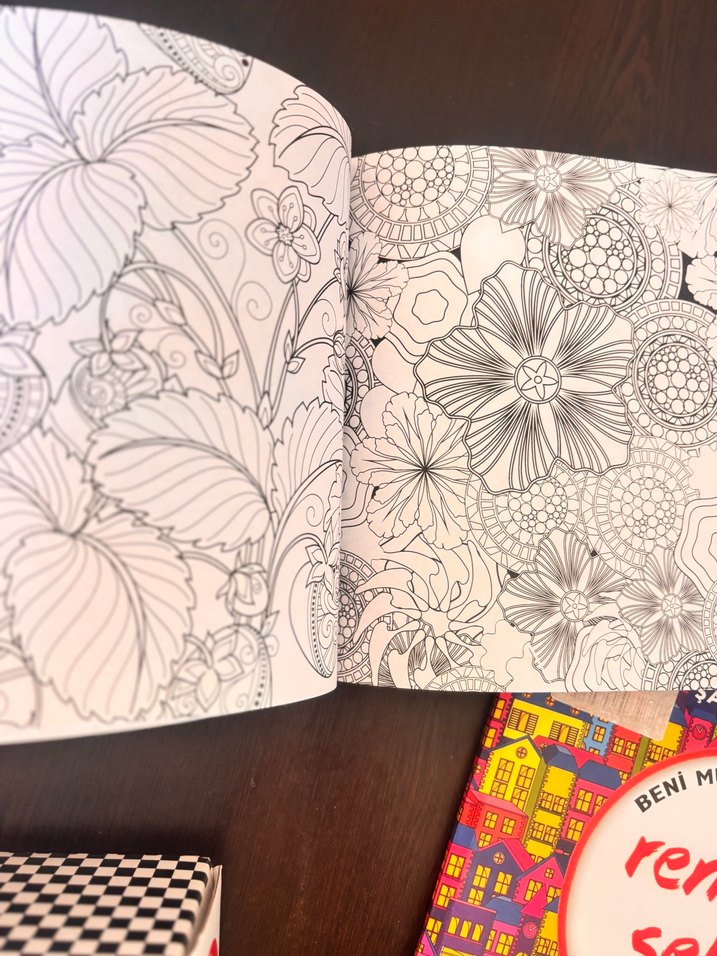 Renkler Ülkesi ve Şehri - Büyükler İçin Boyama Kitabı - Görsel 2