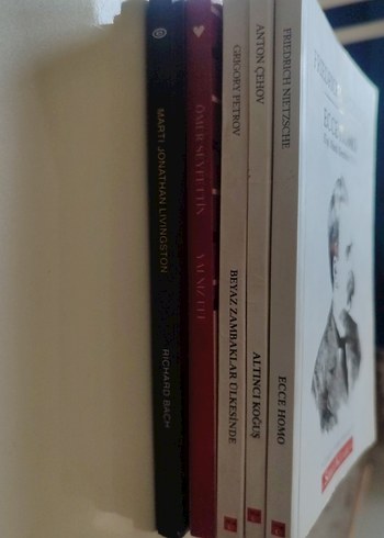 Çeşitli Yazarların Roman Koleksiyonu - Görsel 3