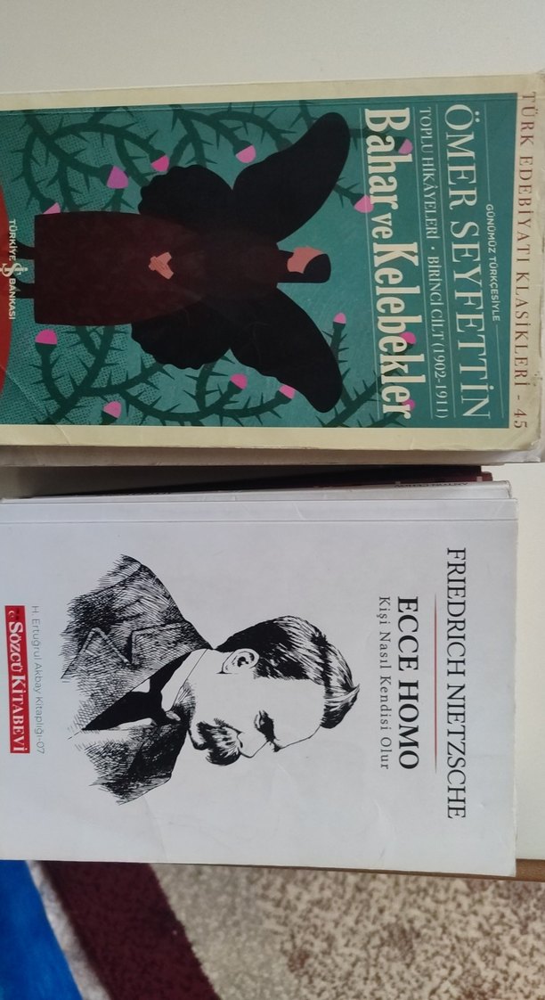 Çeşitli Yazarların Roman Koleksiyonu - Görsel 2