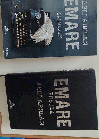 emare 2 sini - Görsel 2