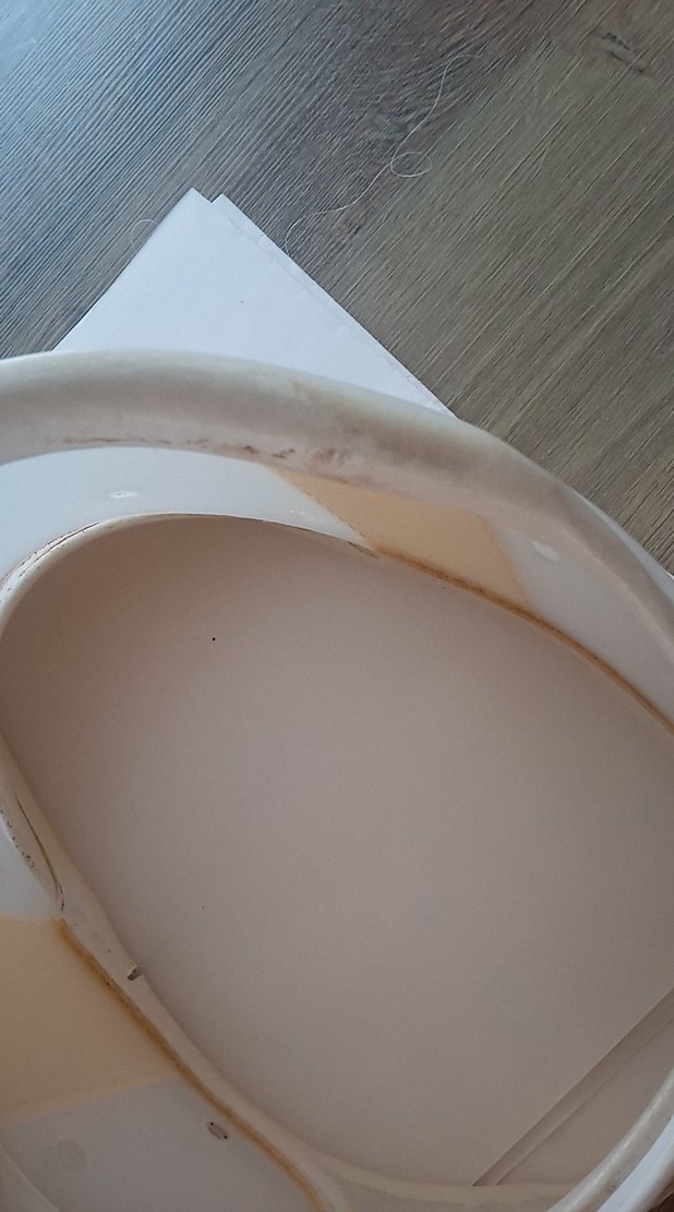 İhtiyaç fazlası boyunluk - Görsel 4