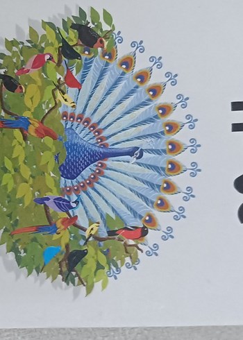  Beden Renk Çocuklar İçin Değerler Eğitimi ve Hikayeler Seti 3 Kitap