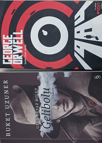 George Orwell ve Gelibolu Roman Seti 2 Kitap