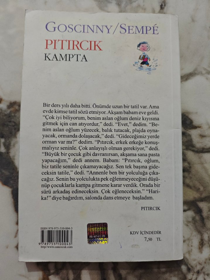 Pıtırcık Kampta - Goscinny/Sempé - Görsel 2