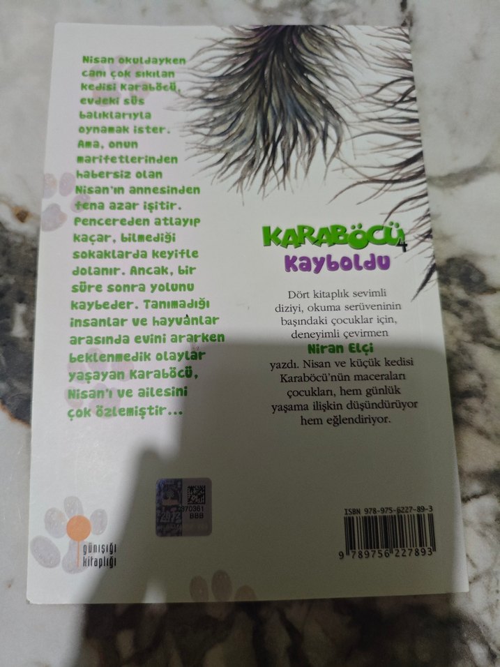 Karaböcü 4 Kayboldu - Mizah Kitabı - Görsel 2