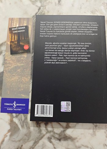 Güneş Giderken - Necati Tosuner - Görsel 2