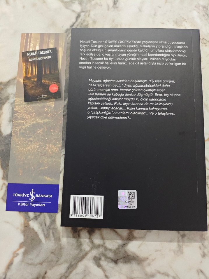 Güneş Giderken - Necati Tosuner - Görsel 2