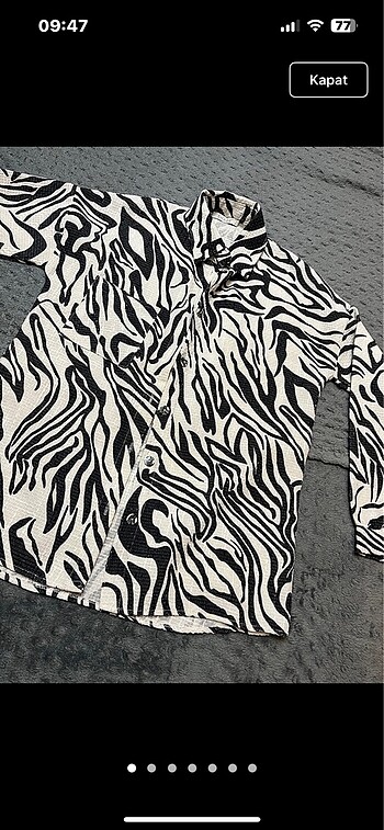Zebra Gömlek