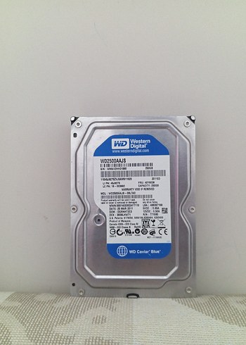 Western Digital WD2500AAJS Sabit Disk 250GB