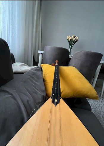 Kısa Saplı Bağlama - Görsel 2