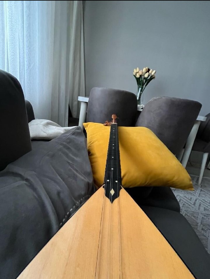 Kısa  Saplı Bağlama - Görsel 2