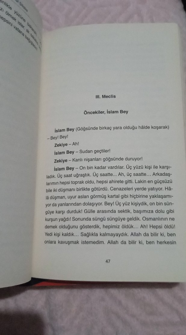 Vatan Yahut Silistre - Namık Kemal - Görsel 5