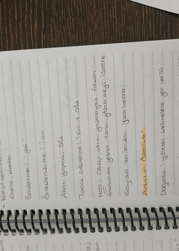 Aker kartal tyt Türkçe el yazmalı kamp defteri - Görsel 18