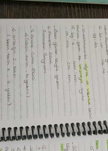 Aker kartal tyt Türkçe el yazmalı kamp defteri - Görsel 3