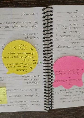 Aker kartal tyt Türkçe el yazmalı kamp defteri - Görsel 15