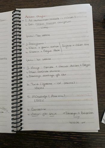 Aker kartal tyt Türkçe el yazmalı kamp defteri - Görsel 16