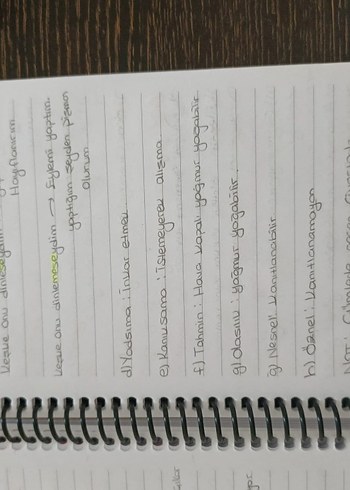 Aker kartal tyt Türkçe el yazmalı kamp defteri - Görsel 17