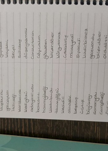 Aker kartal tyt Türkçe el yazmalı kamp defteri - Görsel 19