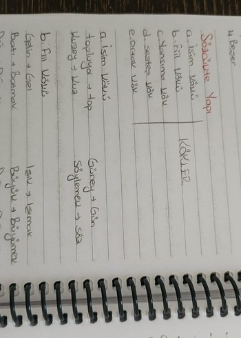 Aker kartal tyt Türkçe el yazmalı kamp defteri - Görsel 6