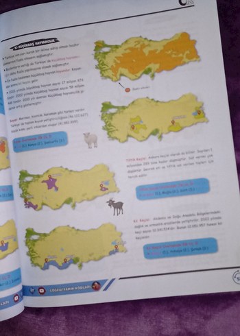 Türkiye Haritaları Çalışma Defteri - Görsel 6