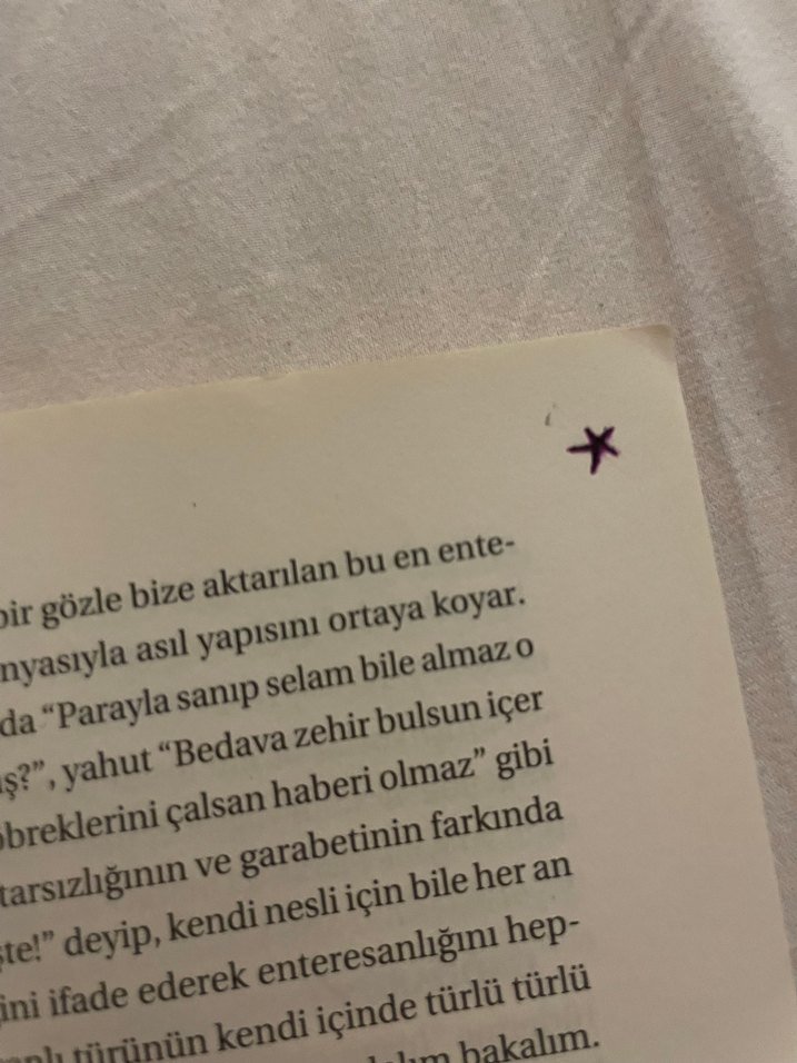 Hepimus Insanus Mizah Kitabı - Görsel 3