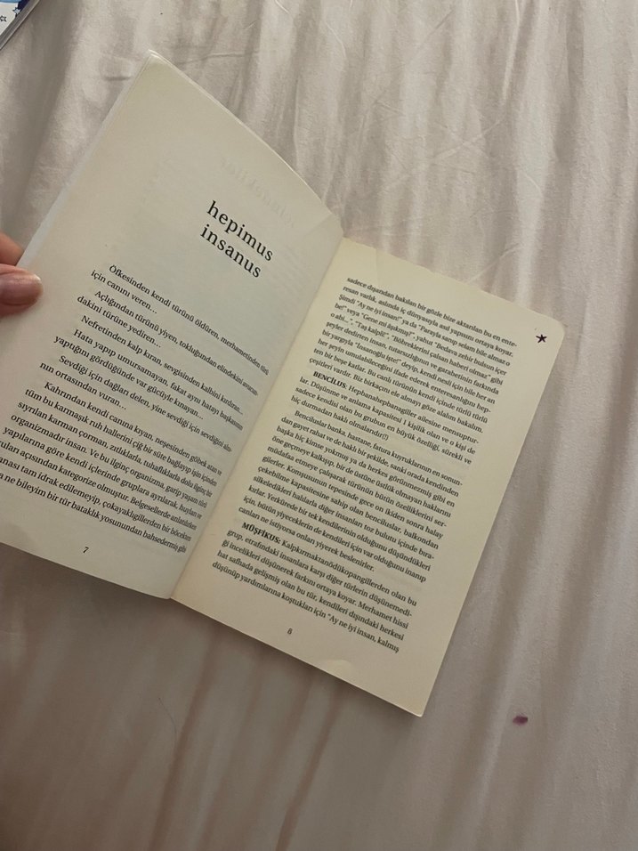 Hepimus Insanus Mizah Kitabı - Görsel 4