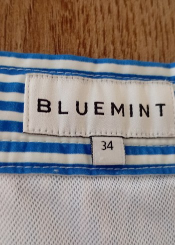 Bluemint Erkek şort mayo - Görsel 2