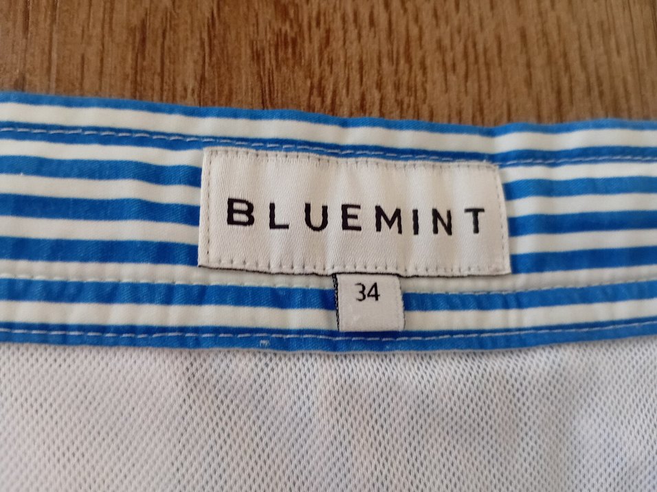Bluemint Erkek şort mayo - Görsel 2