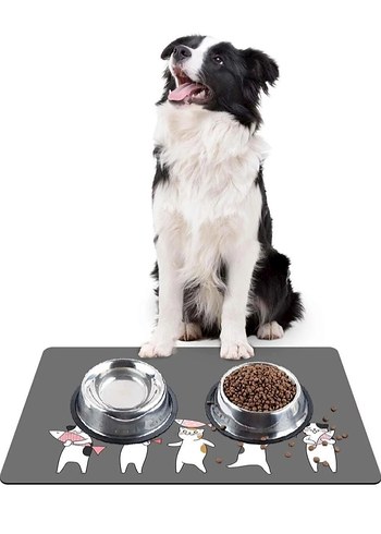 Gri Kedi Mama Altlığı - Görsel 2