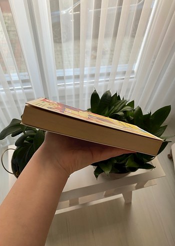 Küçük Aptalın Büyük Dünyası - Pucca Günlük - Görsel 4