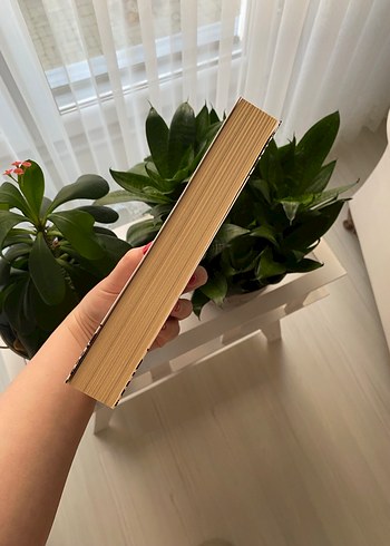 Kafka - Milena'ya Mektuplar - Görsel 4