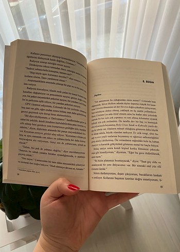 Amato Kardeşler Serisi kutulu set- Winter Renshaw - Görsel 5