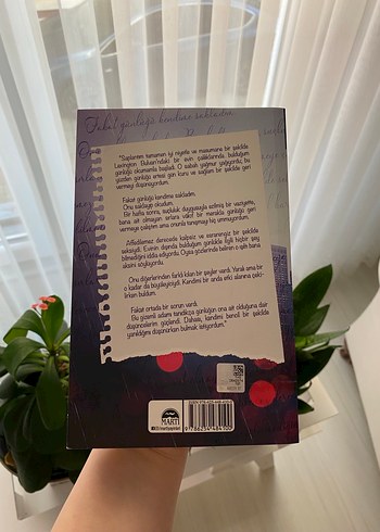 Amato Kardeşler Serisi kutulu set- Winter Renshaw - Görsel 10