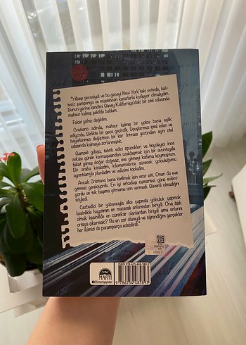 Amato Kardeşler Serisi kutulu set- Winter Renshaw - Görsel 4