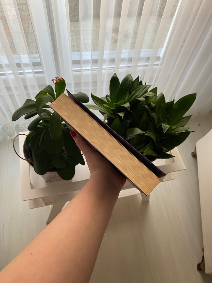 Thomas Harris - Kızıl Ejder - Görsel 4