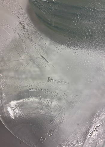 Bahar dalı paşabahçe Şeffaf Cam Tabak Seti - Görsel 2