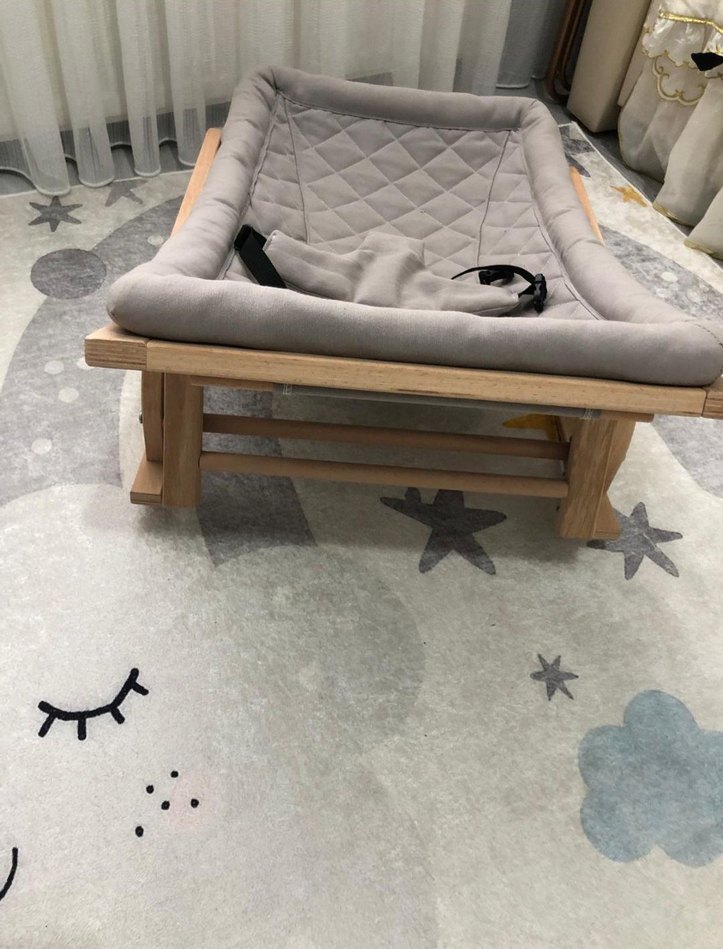 Gri Bebek Manuel Sallanan Ana Kucagi - Görsel 2