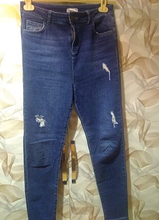 Kot Jean 