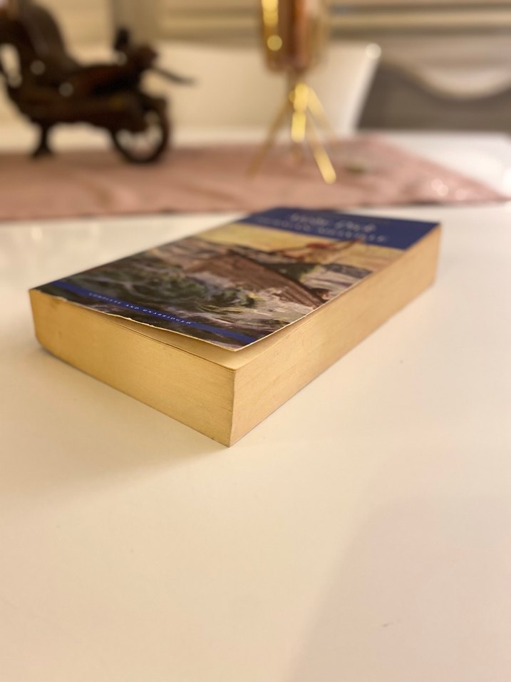 Moby Dick - Herman Melville (Wordsworth Classics) - Görsel 4