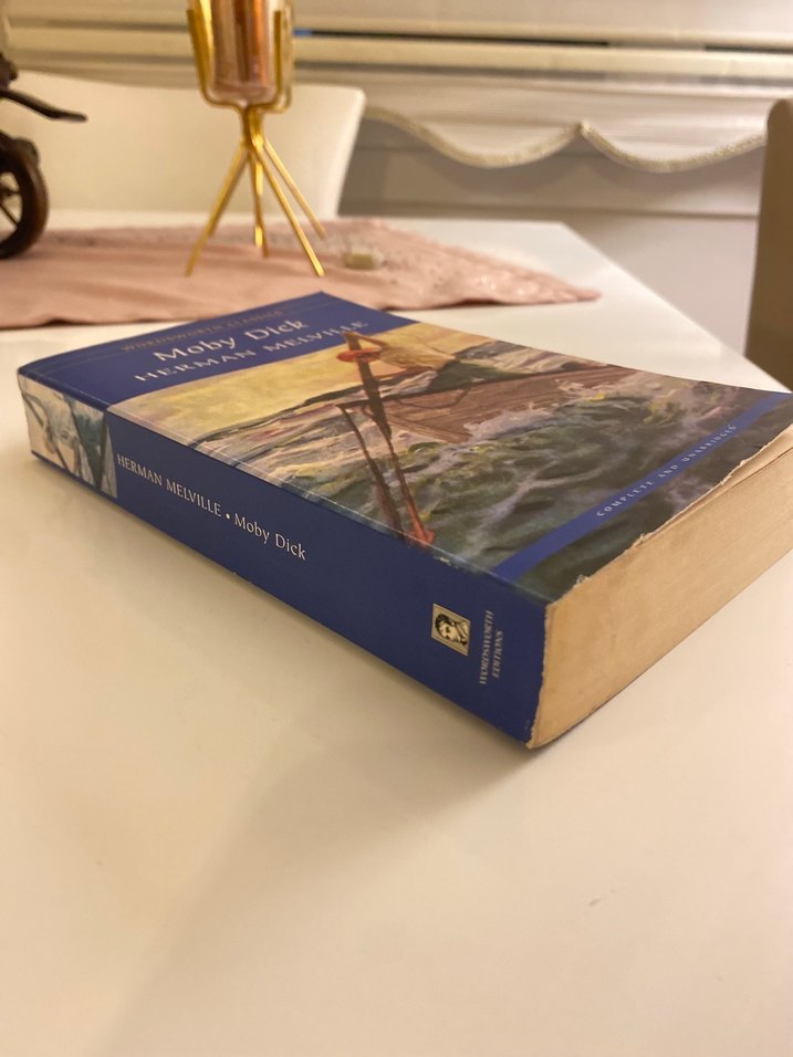 Moby Dick - Herman Melville (Wordsworth Classics) - Görsel 3